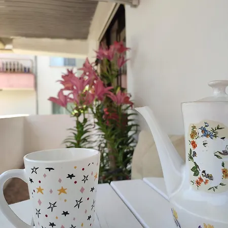 Alojamento de Acomodação e Pequeno-almoço Xani